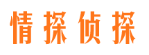 东西湖侦探公司